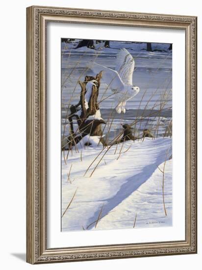 Great White Hunter-Michael Budden-Framed Giclee Print