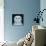 Great White Owl, 1996-Tamas Galambos-Giclee Print displayed on a wall