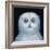 Great White Owl, 1996-Tamas Galambos-Framed Giclee Print