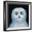 Great White Owl, 1996-Tamas Galambos-Framed Giclee Print