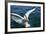 Great White Pelican Landing on Ocean (Pelecanus Onocrotalus)-Reinhard Dirscherl-Framed Photographic Print