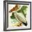 Great White Pelican Pelecanus Onocrotalus-null-Framed Giclee Print