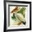 Great White Pelican Pelecanus Onocrotalus-null-Framed Giclee Print