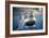 Great White Pointer Shark-null-Framed Photographic Print