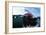 Great White Pointer Shark-null-Framed Photographic Print