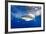 Great White Shark (Carcharodon Carcharias) Guadalupe Island, Mexico, Pacific Ocean. Vulnerable-Franco Banfi-Framed Photographic Print