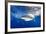 Great White Shark (Carcharodon Carcharias) Guadalupe Island, Mexico, Pacific Ocean. Vulnerable-Franco Banfi-Framed Photographic Print