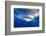 Great White Shark (Carcharodon Carcharias) Guadalupe Island, Mexico, Pacific Ocean. Vulnerable-Franco Banfi-Framed Photographic Print