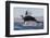 Great White Shark (Carcharodon Carcharias)-David Jenkins-Framed Photographic Print