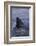 Great White Shark Fin above Water-DLILLC-Framed Photographic Print