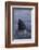 Great White Shark Fin above Water-DLILLC-Framed Photographic Print