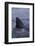 Great White Shark Fin above Water-DLILLC-Framed Photographic Print