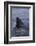 Great White Shark Fin above Water-DLILLC-Framed Photographic Print