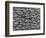 Great White Shark Scales-null-Framed Photographic Print