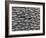 Great White Shark Scales-null-Framed Photographic Print