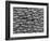 Great White Shark Scales-null-Framed Photographic Print