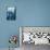 Great White Shark - Scratchboard-Lantern Press-Premium Giclee Print displayed on a wall