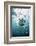 Great White Shark, South Africa-Stuart Westmorland-Framed Photographic Print