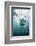 Great White Shark, South Africa-Stuart Westmorland-Framed Photographic Print