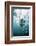 Great White Shark, South Africa-Stuart Westmorland-Framed Photographic Print