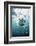 Great White Shark, South Africa-Stuart Westmorland-Framed Photographic Print