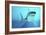 Great White Shark Swimming Underwater-null-Framed Art Print