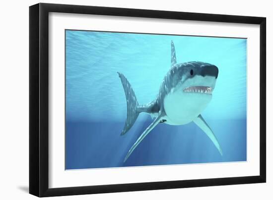 Great White Shark Swimming Underwater-null-Framed Art Print