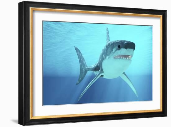 Great White Shark Swimming Underwater-null-Framed Art Print