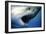 Great White Shark with Mouth Wide Open-null-Framed Photographic Print