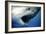 Great White Shark with Mouth Wide Open-null-Framed Photographic Print