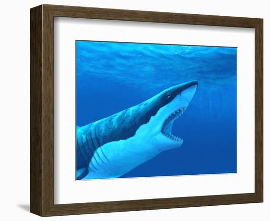 Great White Shark-Chris Butler-Framed Premium Photographic Print
