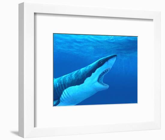 Great White Shark-Chris Butler-Framed Premium Photographic Print