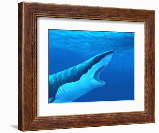 Great White Shark-Chris Butler-Framed Premium Photographic Print