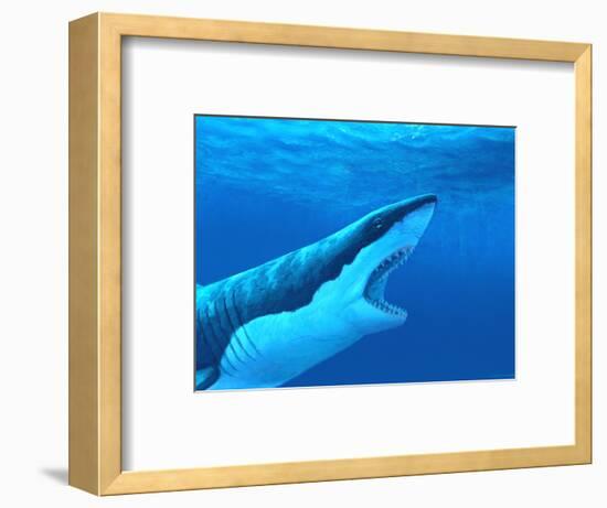 Great White Shark-Chris Butler-Framed Premium Photographic Print