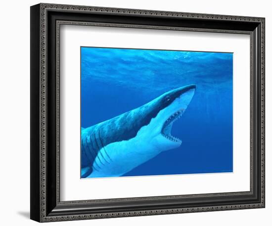 Great White Shark-Chris Butler-Framed Premium Photographic Print