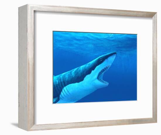 Great White Shark-Chris Butler-Framed Premium Photographic Print