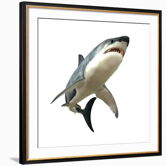 Great White Shark-null-Framed Art Print