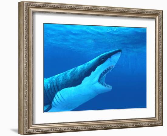 Great White Shark-Chris Butler-Framed Photographic Print