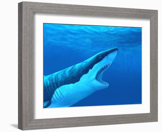 Great White Shark-Chris Butler-Framed Photographic Print