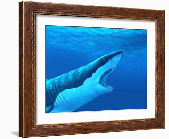 Great White Shark-Chris Butler-Framed Photographic Print