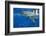 Great White Shark-DLILLC-Framed Photographic Print