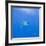 Great White Shark-DLILLC-Framed Photographic Print