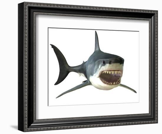 Great White Shark-null-Framed Premium Giclee Print