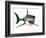 Great White Shark-null-Framed Premium Giclee Print