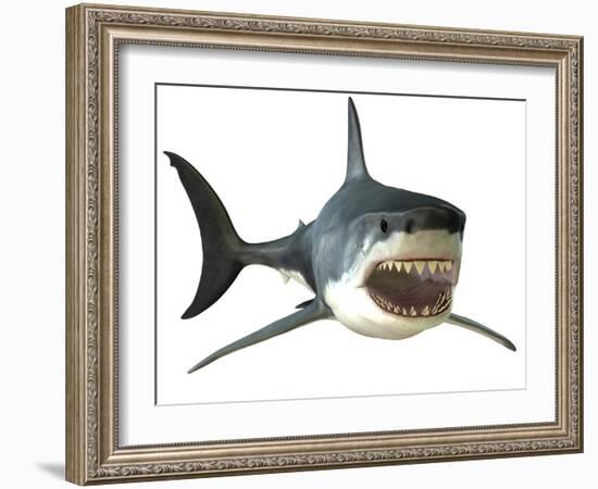 Great White Shark-null-Framed Art Print