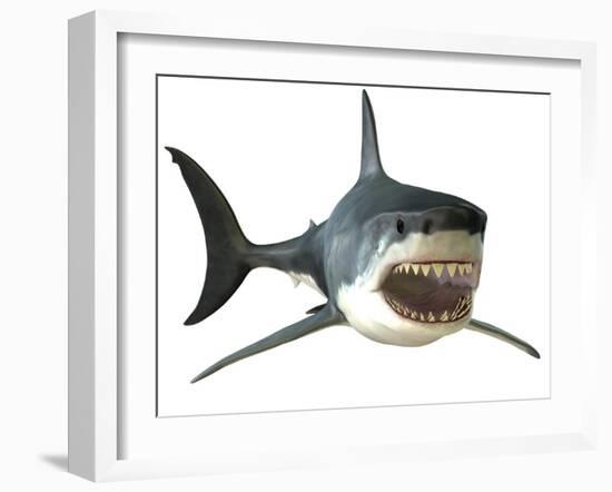 Great White Shark-null-Framed Art Print