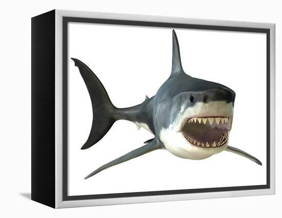 Great White Shark-null-Framed Stretched Canvas