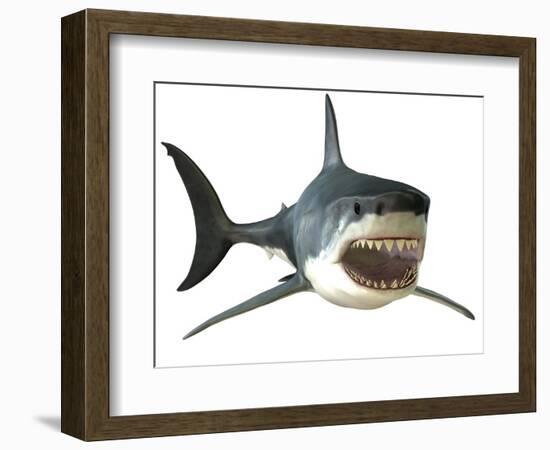 Great White Shark-null-Framed Art Print