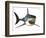 Great White Shark-null-Framed Art Print