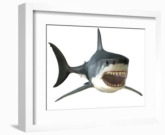 Great White Shark-null-Framed Art Print